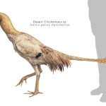 Joschua Knüppe Nea Paleoart